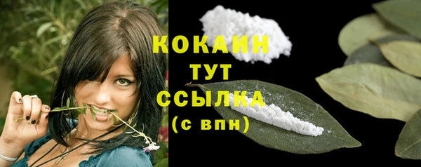 дживик Богородск