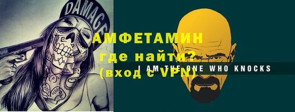 дживик Богородск