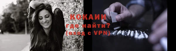 дживик Богородск