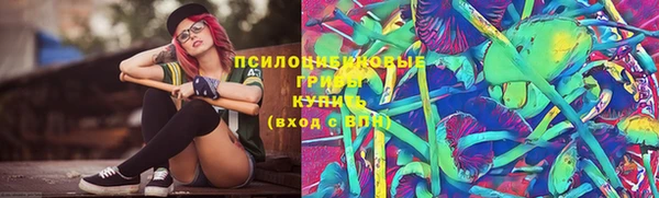 МДМА Богданович