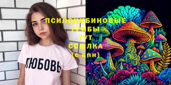 дживик Богородск